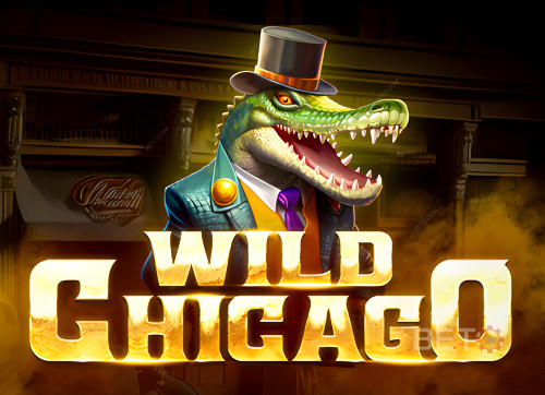 Wild Chicago 