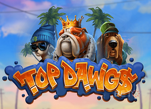 Top Dawgs