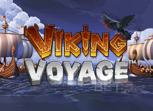 Viking Voyage 