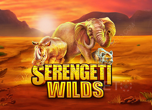 Serengeti Wilds 