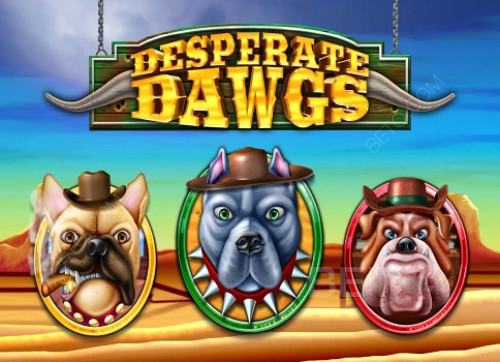 Desperate Dawgs 