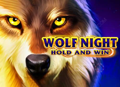 Wolf Night