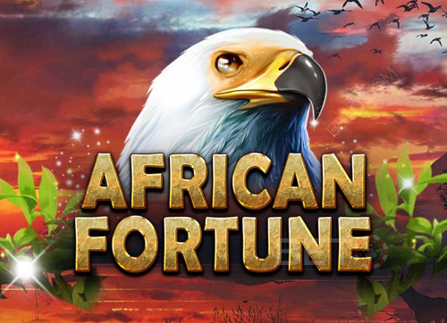 African Fortune