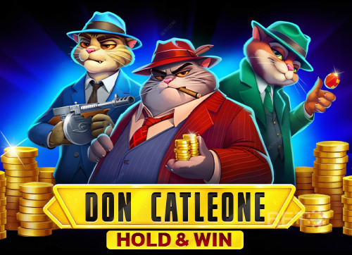 Don Catleone Hold and Win
