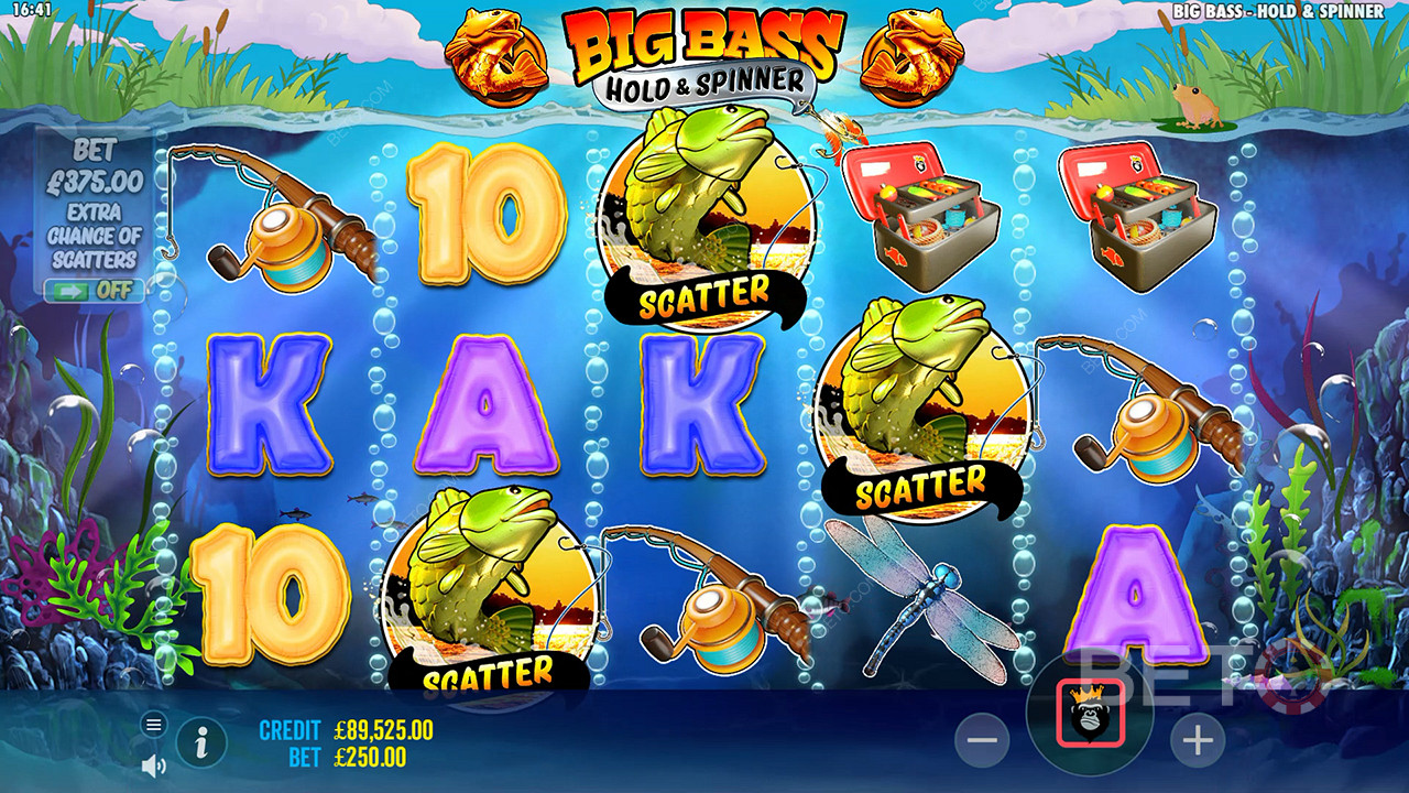Theme & Design: Aussie Angler