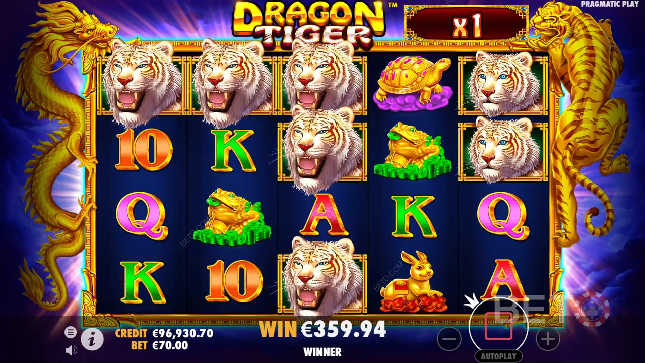 Multipliers roar to life in Dragon Tiger