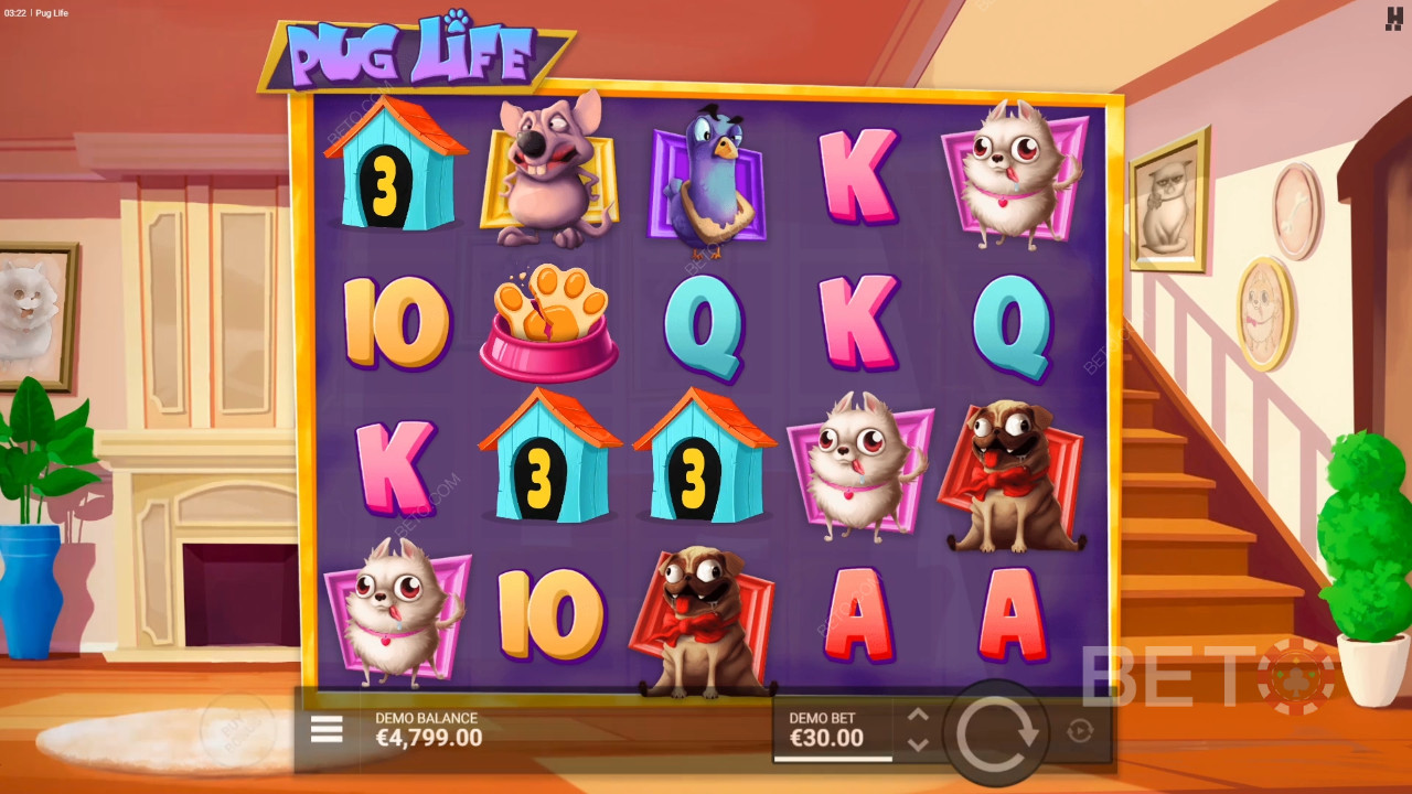 Pug Life Review by BETO Pokies