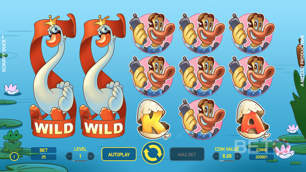 Scruffy Duck pokie with 5 reels, 3 rows, 25 lines and a ripper 96.49% RTP