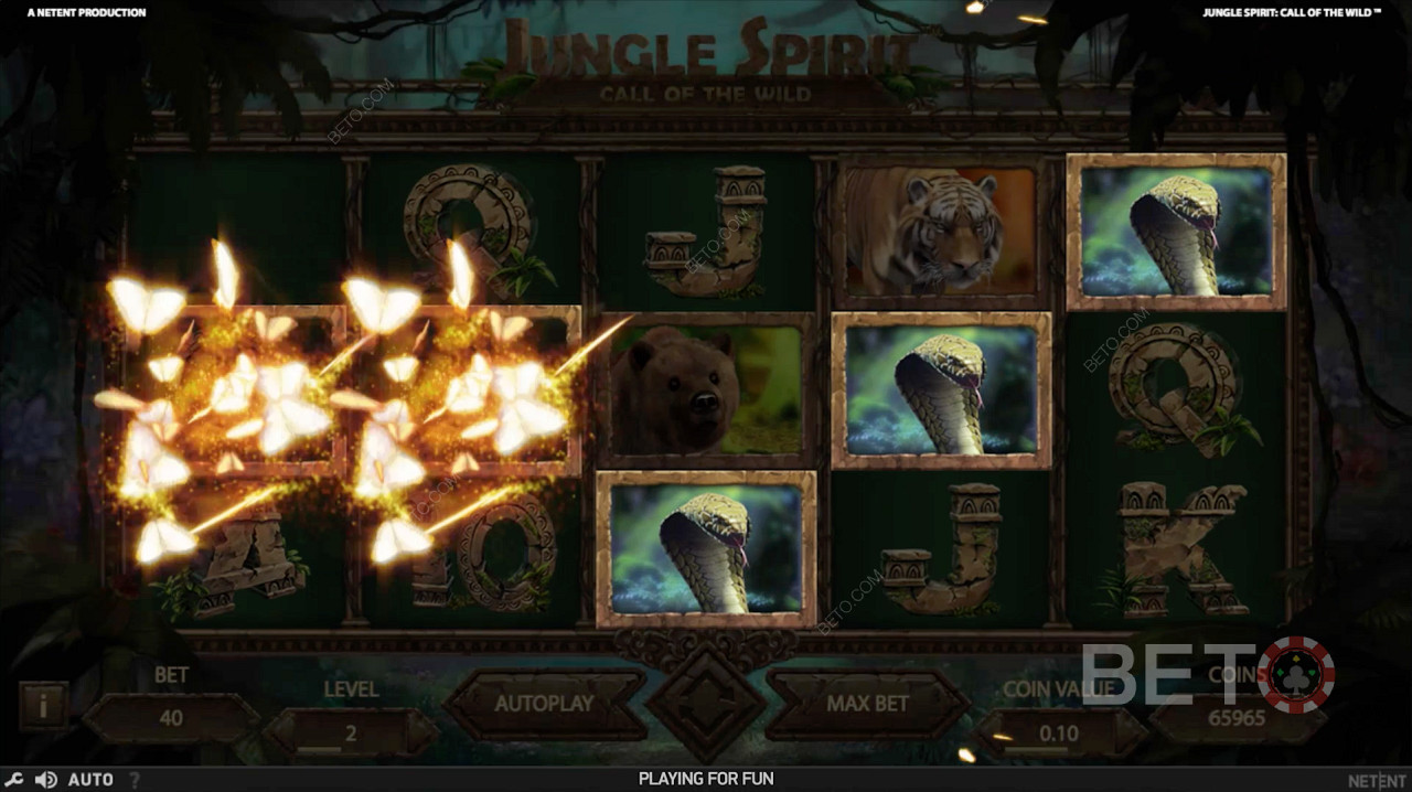Bushland Bonanza in Jungle Spirit: Call of the Wild