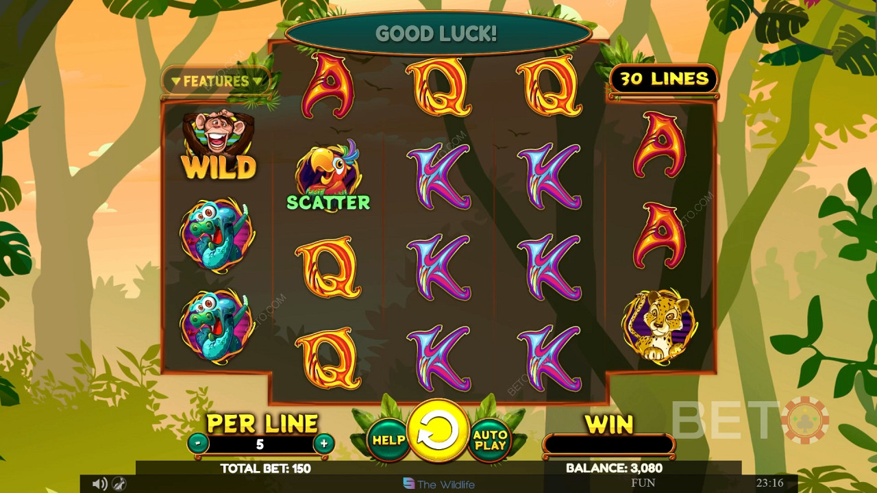 Wacky Monkey Free Play