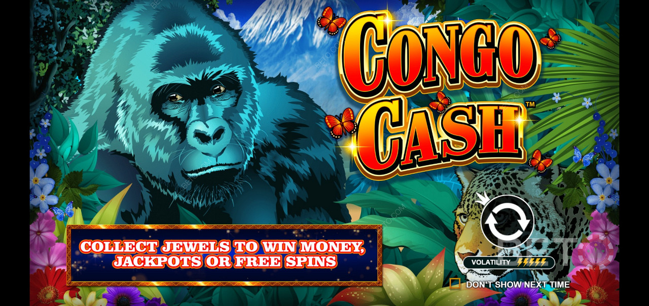 Congo Cash - trek with the Silverback in a jungle romp