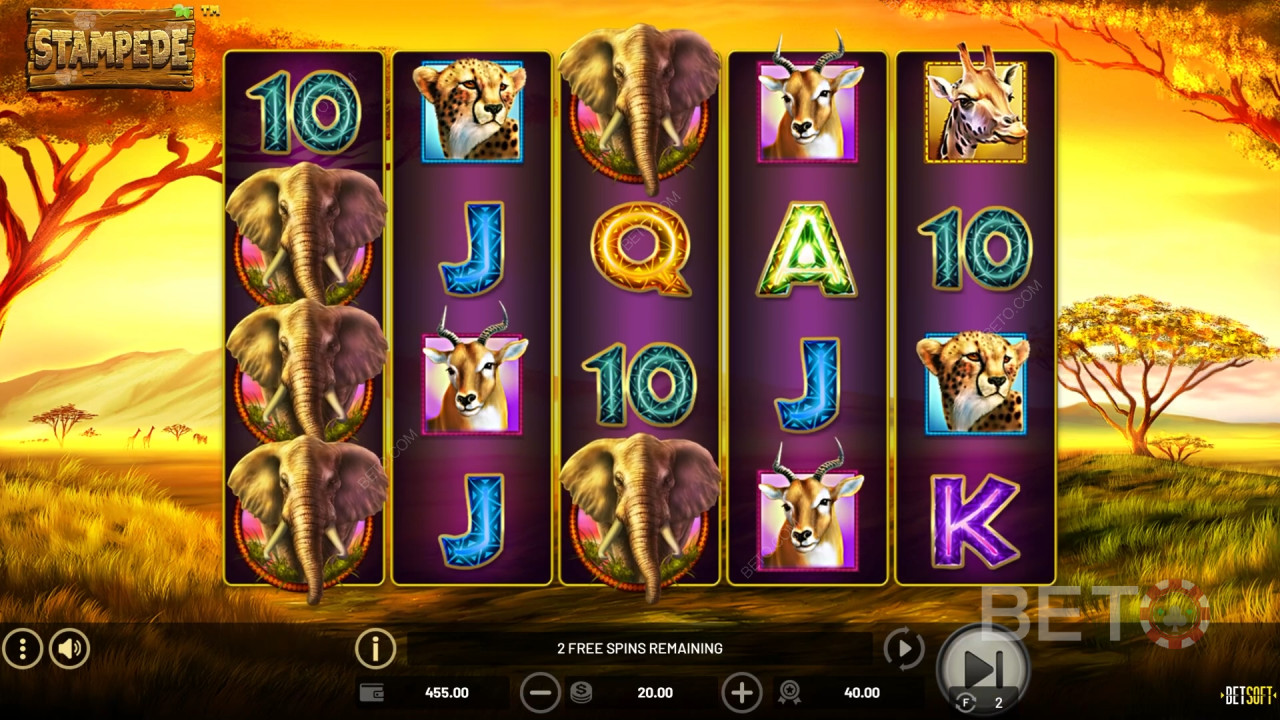 Stampede: BETO Pokies
