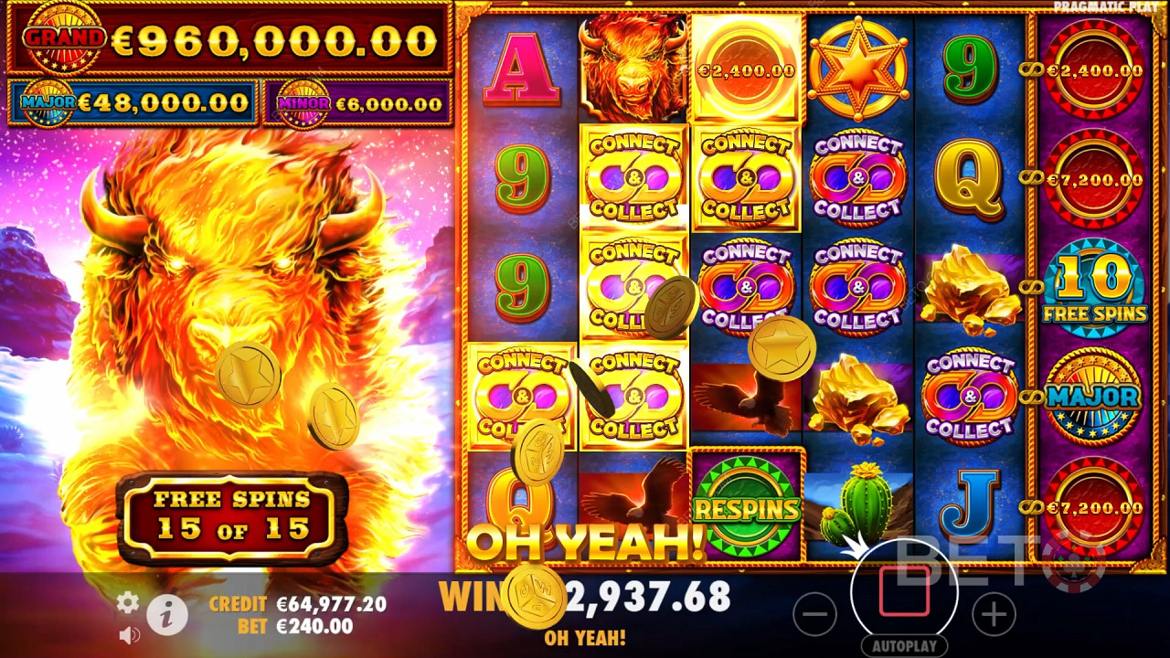 Theme & Design: Outback Blaze Stampede