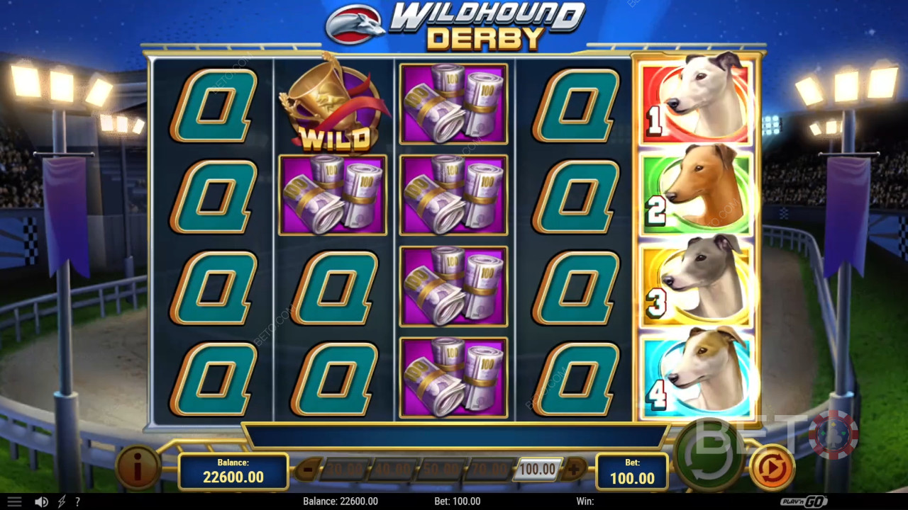 Wildhound Derby Review by BETO Pokies