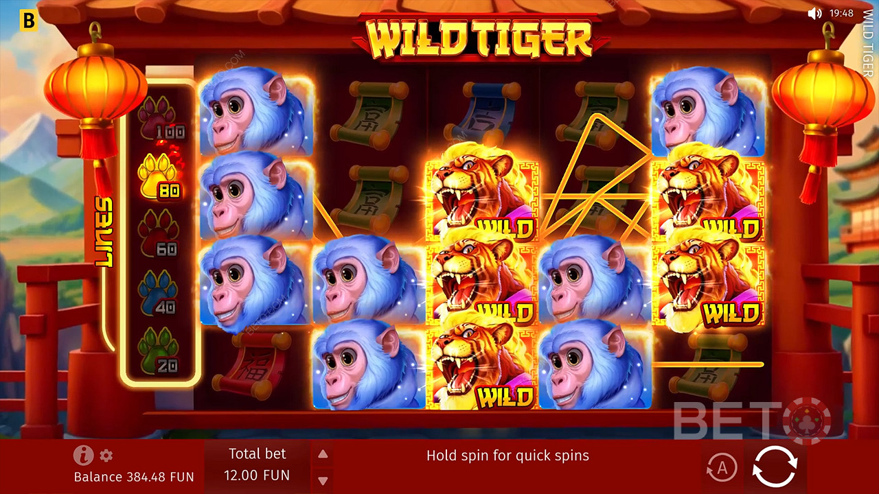 Wild Tiger Free Play