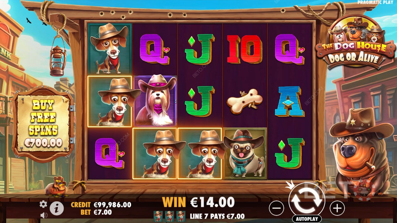 Theme & Design: Outback Canine Capers