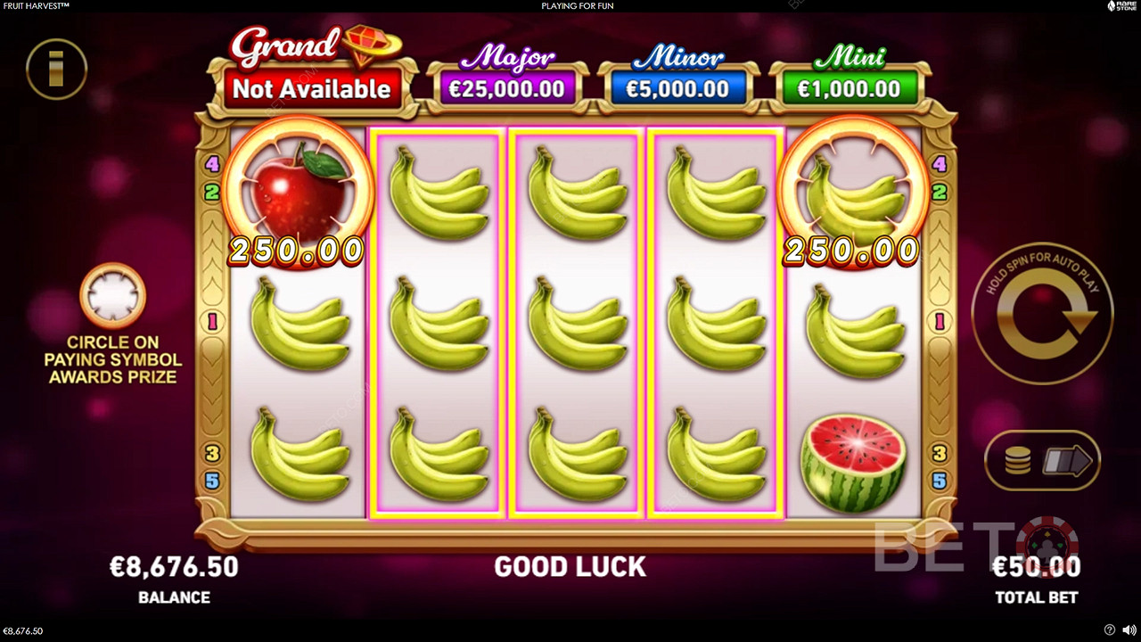 Theme & Design: Aussie Orchard Bonanza
