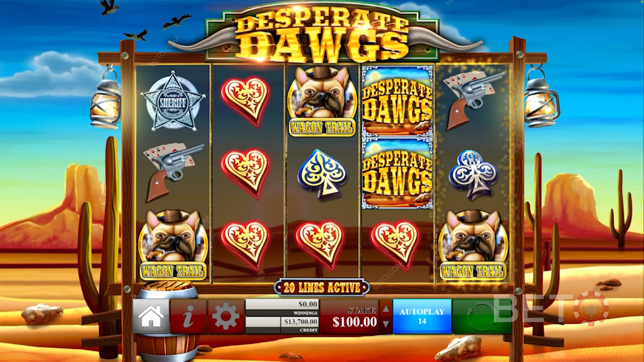 Set up to 1,000 spins on auto for hands-free play