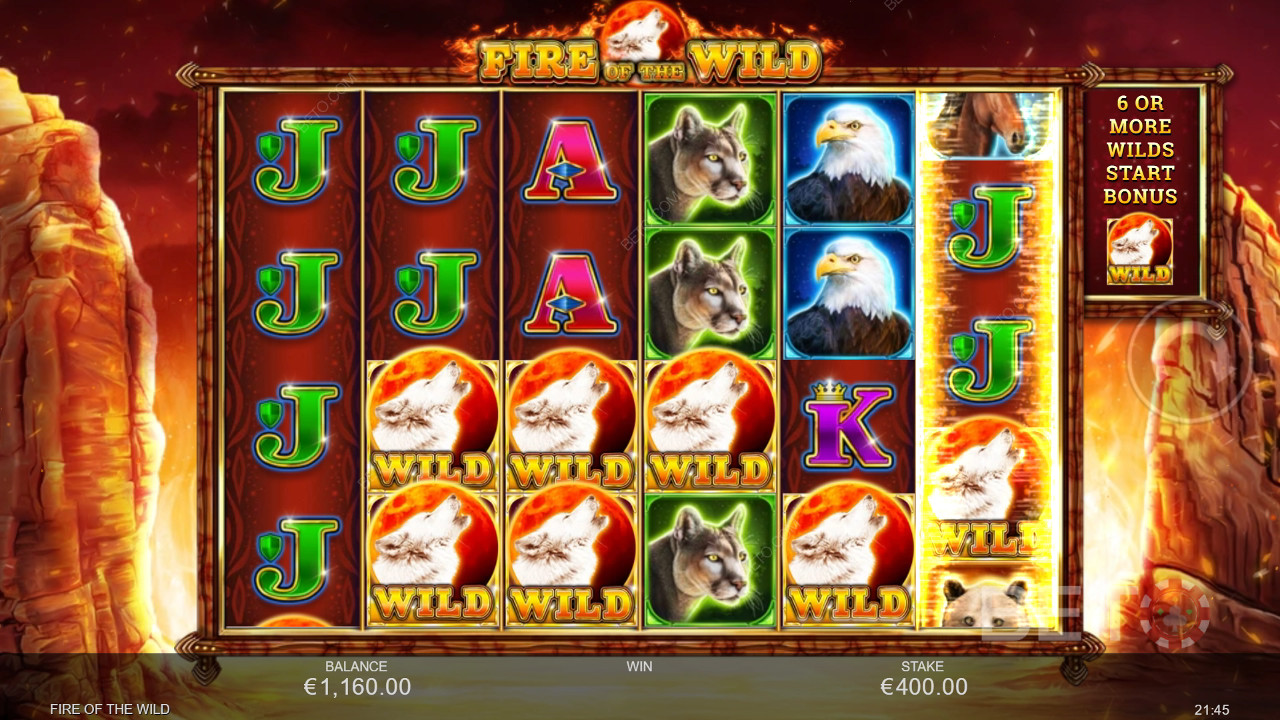 Fire of the Wild Review by BETO Pokies