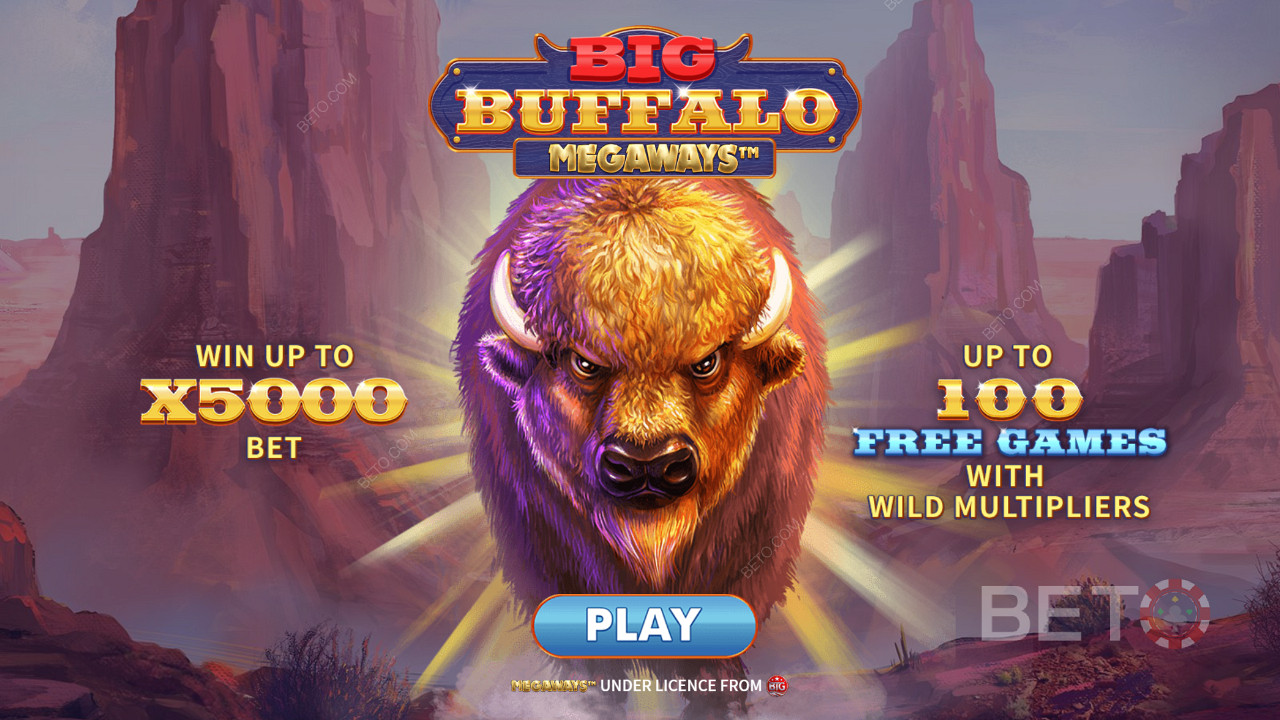 Unleash Big Buffalo Megaways