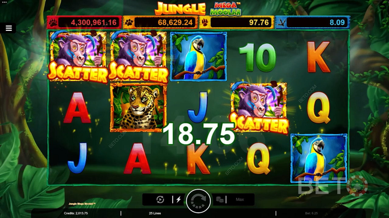 Score 3 Monkey Scatters for Free Spins in Jungle Mega Moolah online pokie game