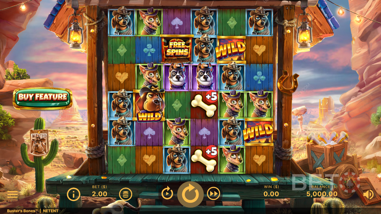 Ace Guide to NetEnt