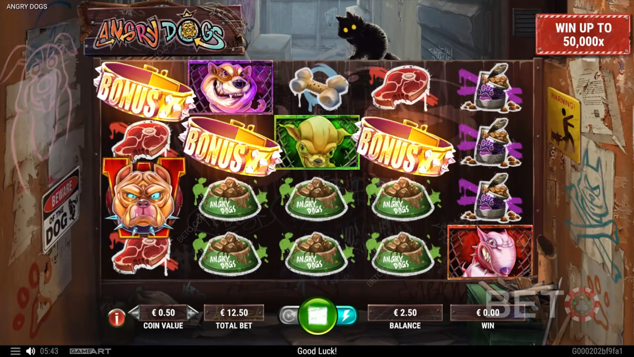 Angry Dogs Free Play
