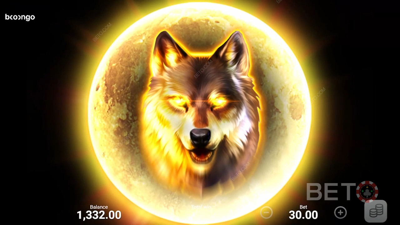 Howl at the moon with Wolf Night