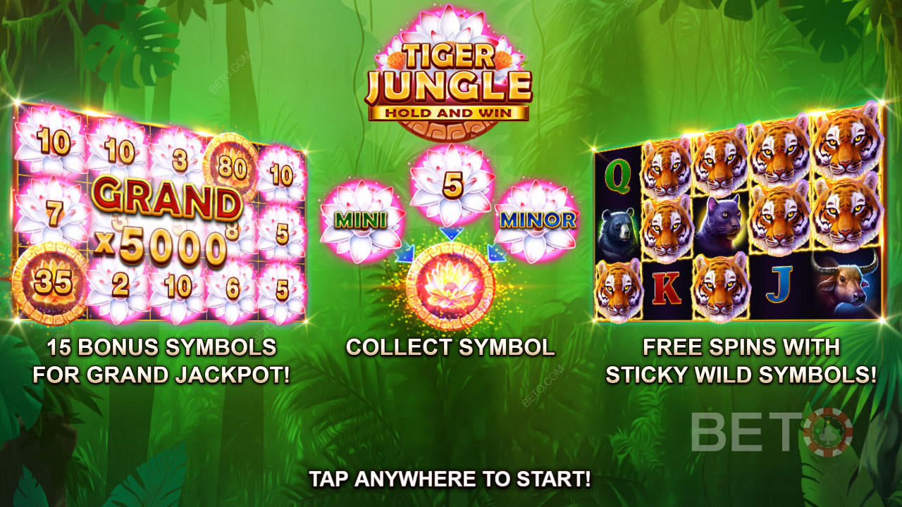 Score a Bonza Jackpot up to 5000x Your Starting Bet
