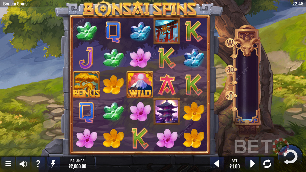 Tranquil Aussie vibes in Bonsai Spins