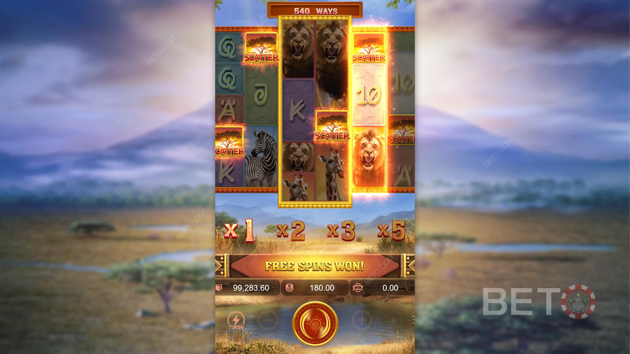 Theme & Design: Aussie Outback Safari