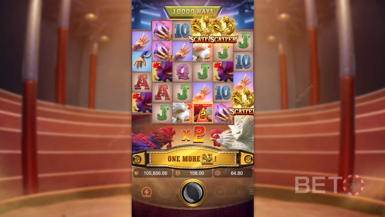 Theme & Design: Outback Rooster Showdown