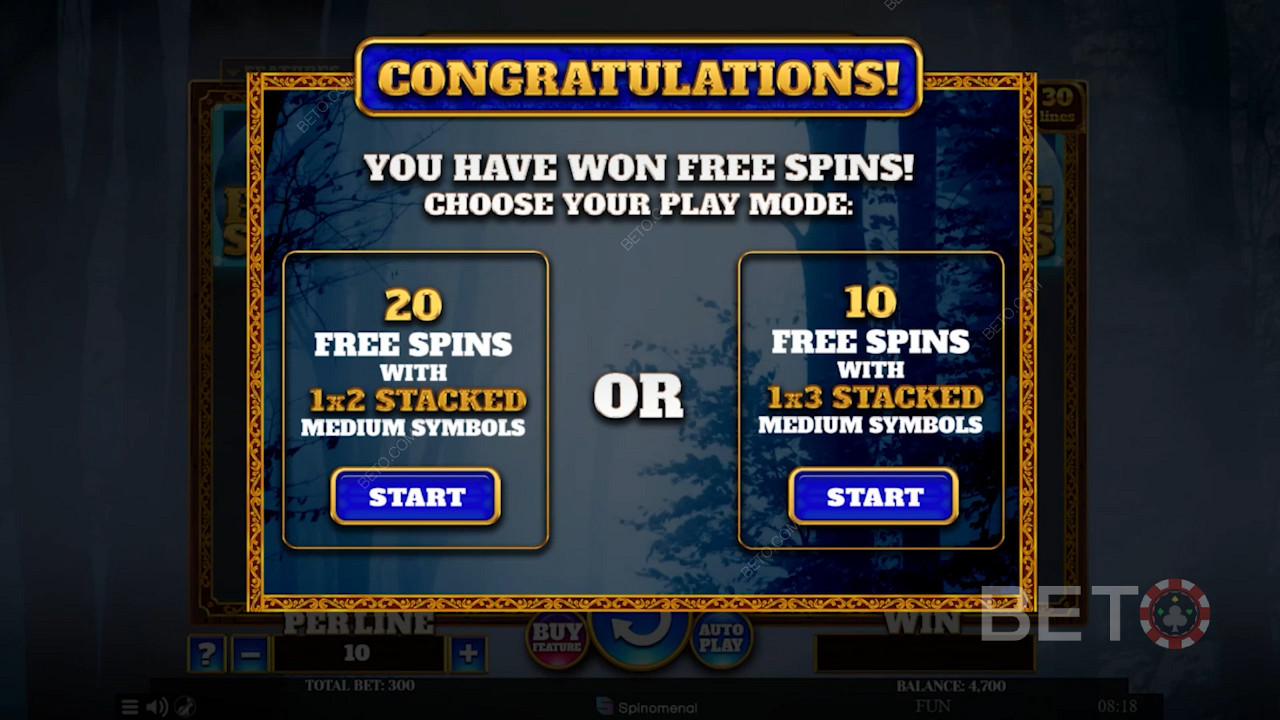 Trigger the Free Games feature and pick from 2 Free Spins options