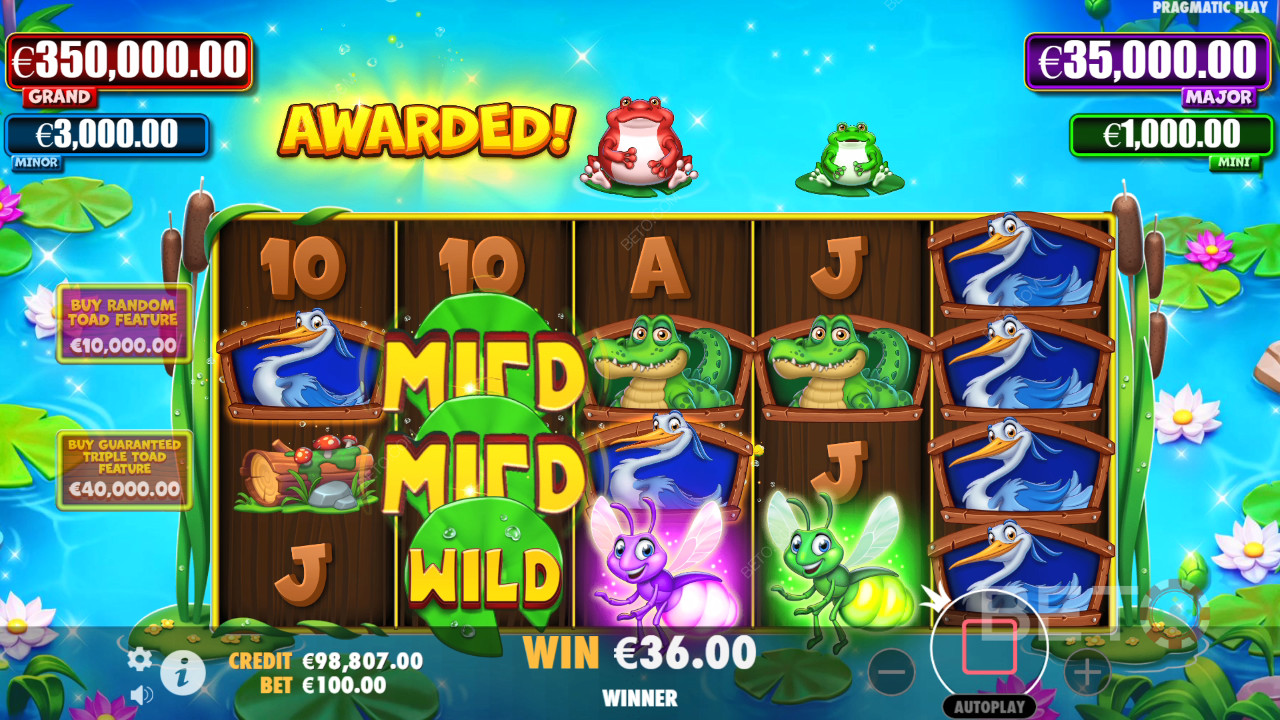 Tiny Toads Review by BETO Pokies
