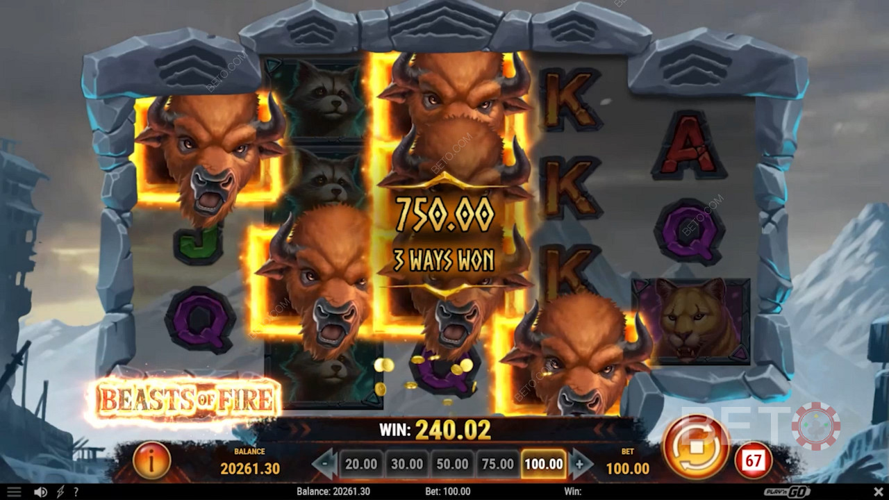 Raging roos on Beasts of Fire