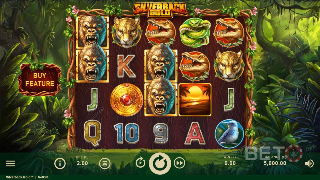 Aussie jungle thrills in Silverback Gold