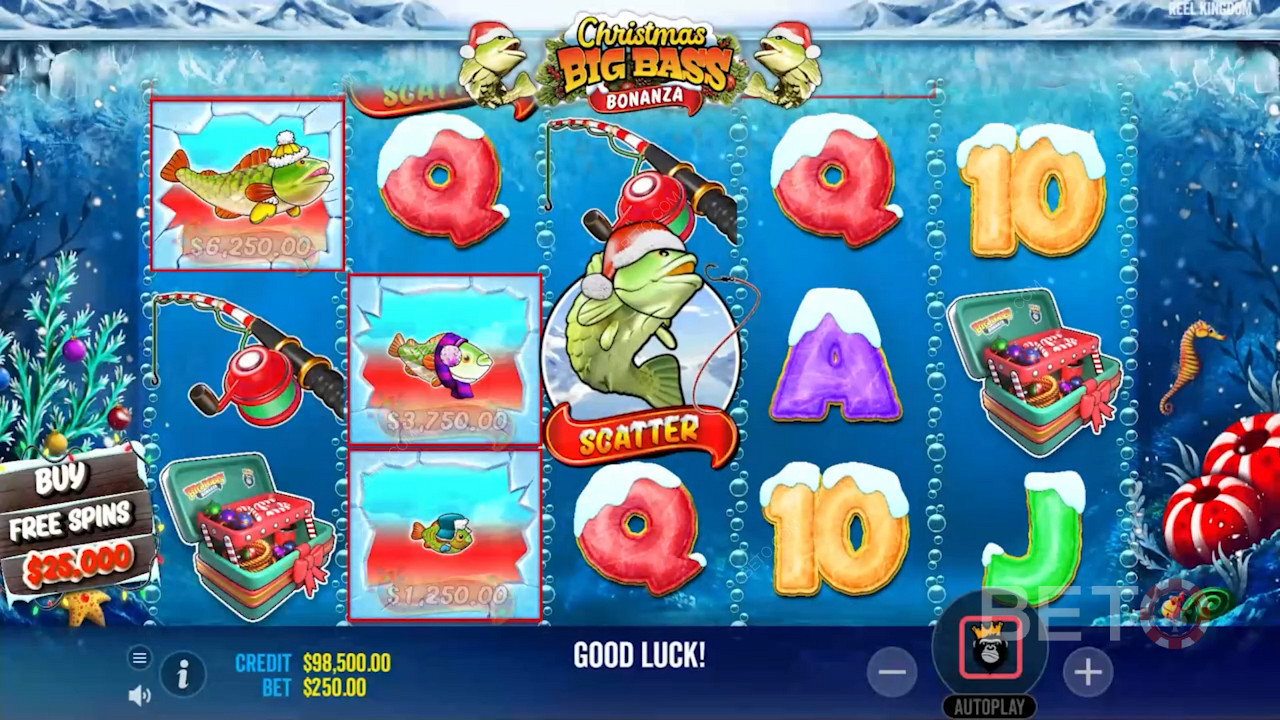 Dive into festive Aussie reels with Santa