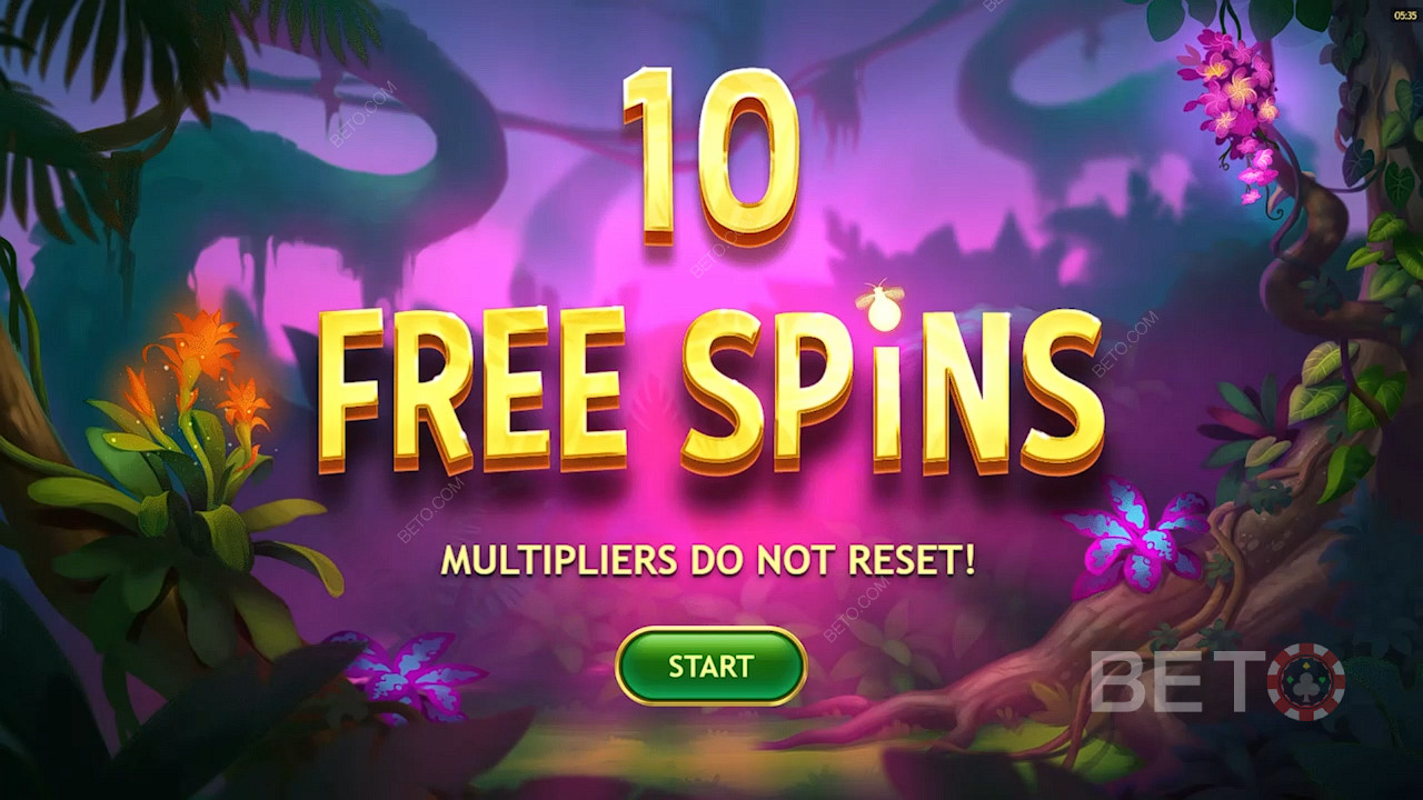 Score 10 Free Spins when you land 3 Scatters