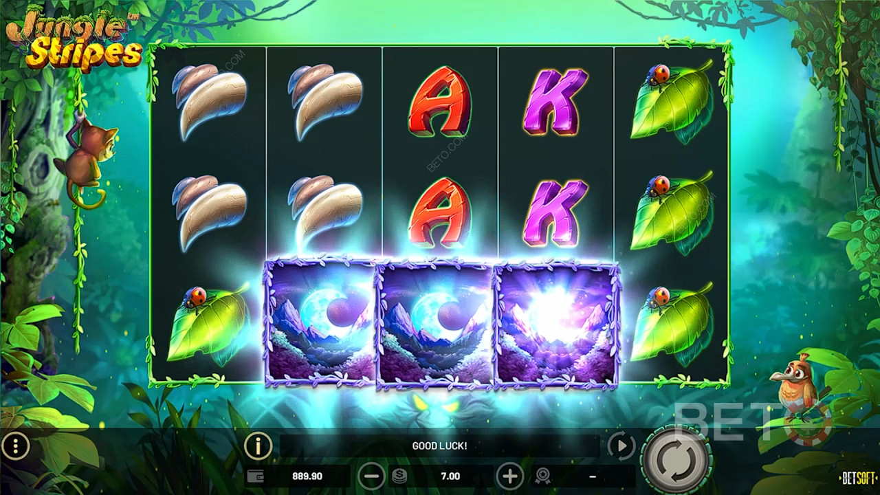 3 special bushfire symbols trigger Free Spins bonus