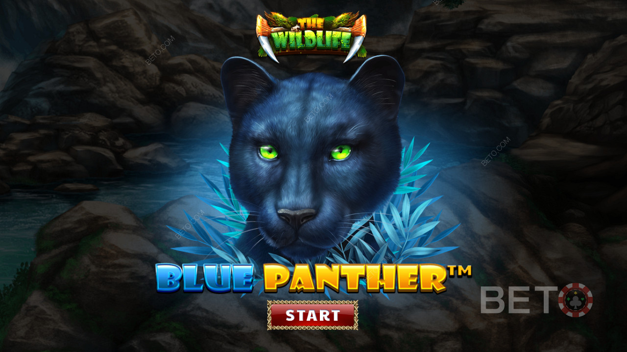 Prowl the bush with nocturnal mates in Blue Panther pokie