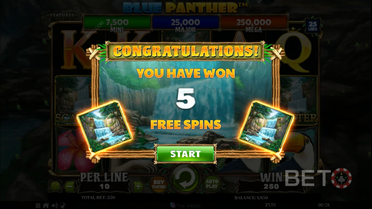 Score 5 bonus Free Spins by cracking the Free Spins feature