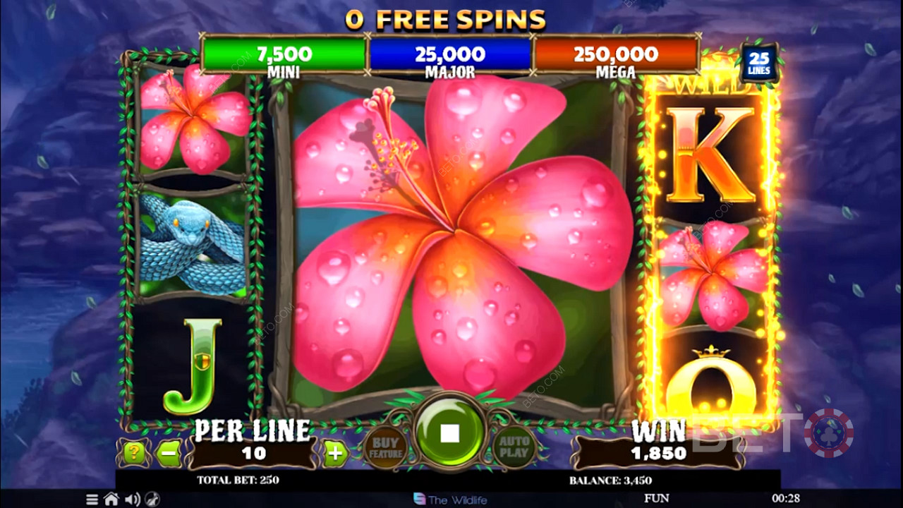 Snag Free Spins and score bonus re-spins with Expanding symbols