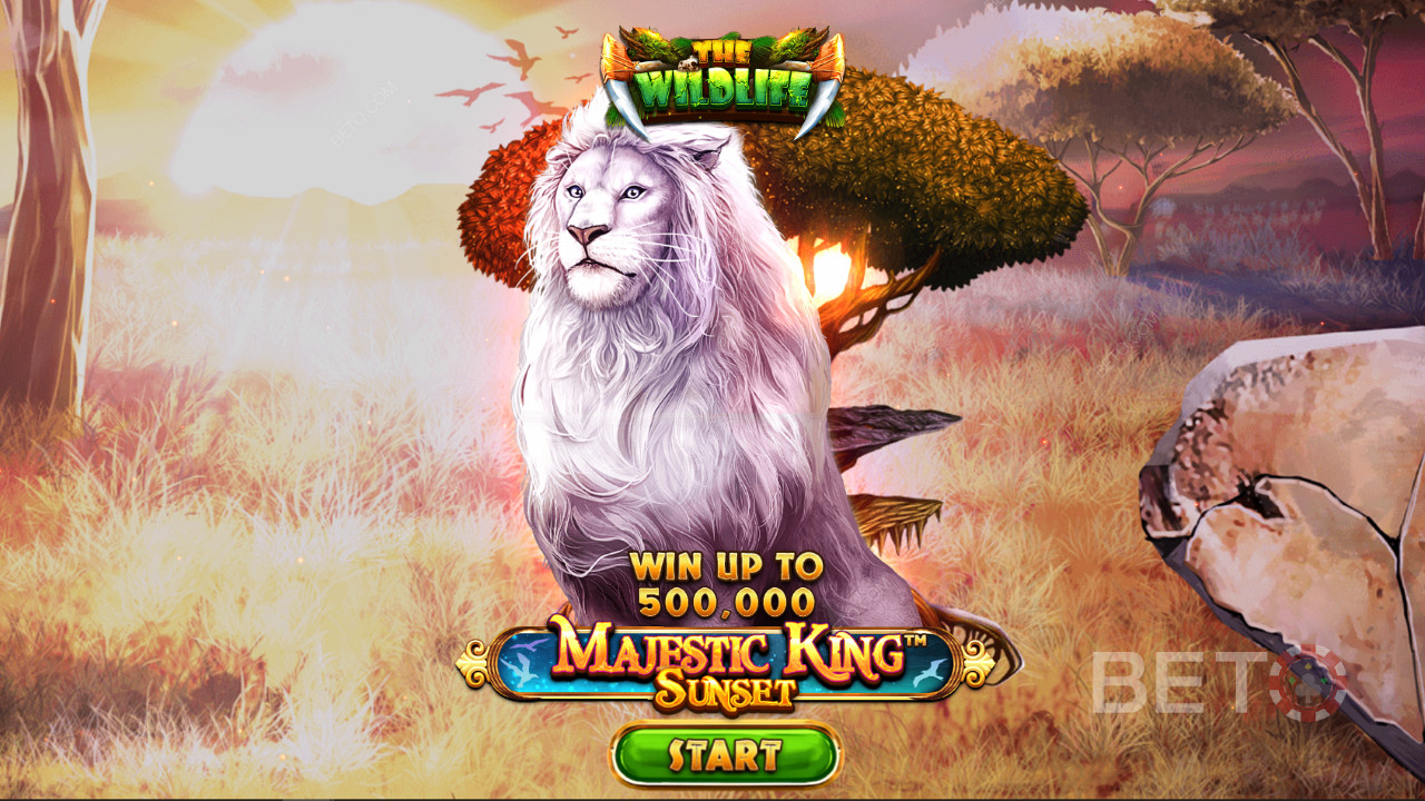 Rule the outback and score big wins in the latest Spinomenal pokie