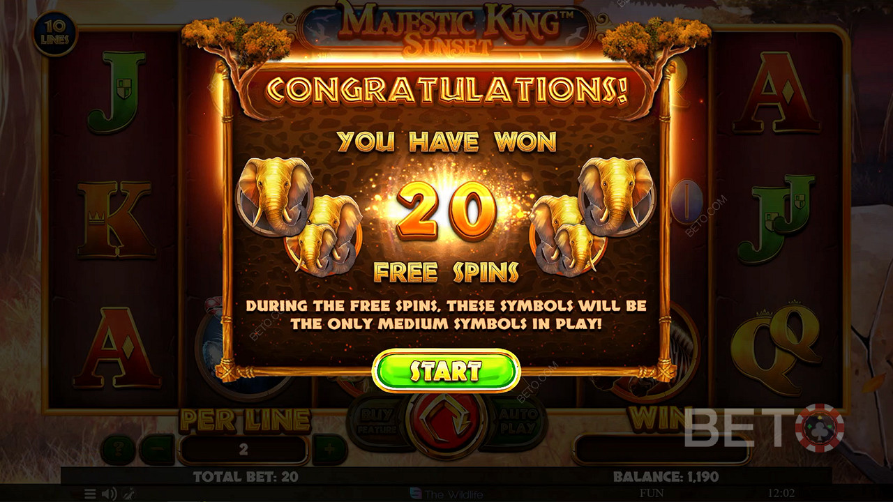 Trigger the Free Spins feature for up to 40 bonus rounds and boost your odds