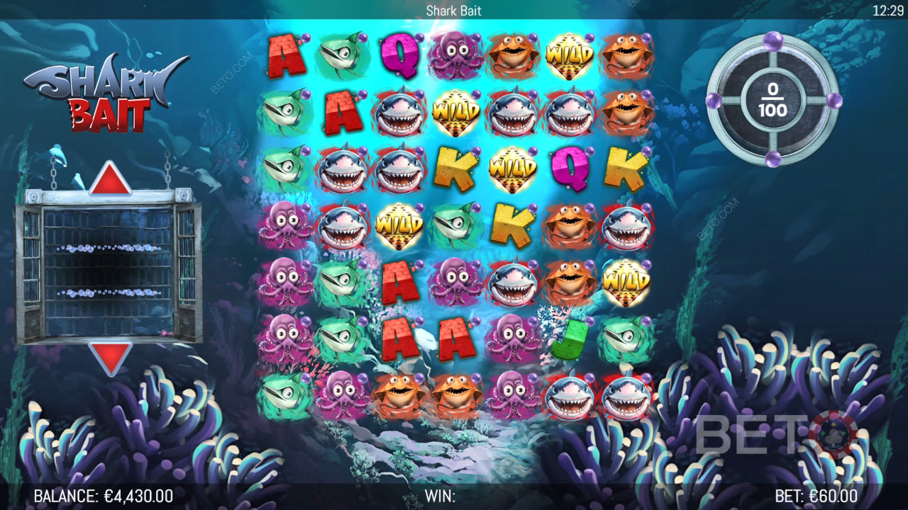 Bonus Features Explained in Shark Bait by Hungry Bear
