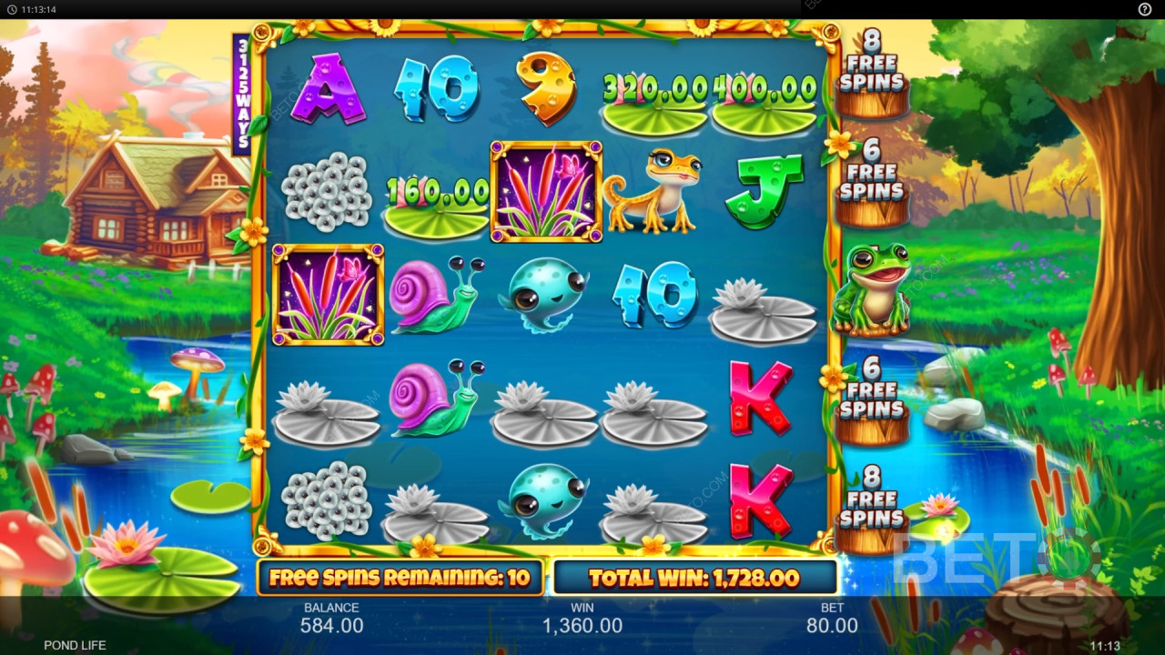 Bonus Features Explained in Pond Life by Inspired Gaming