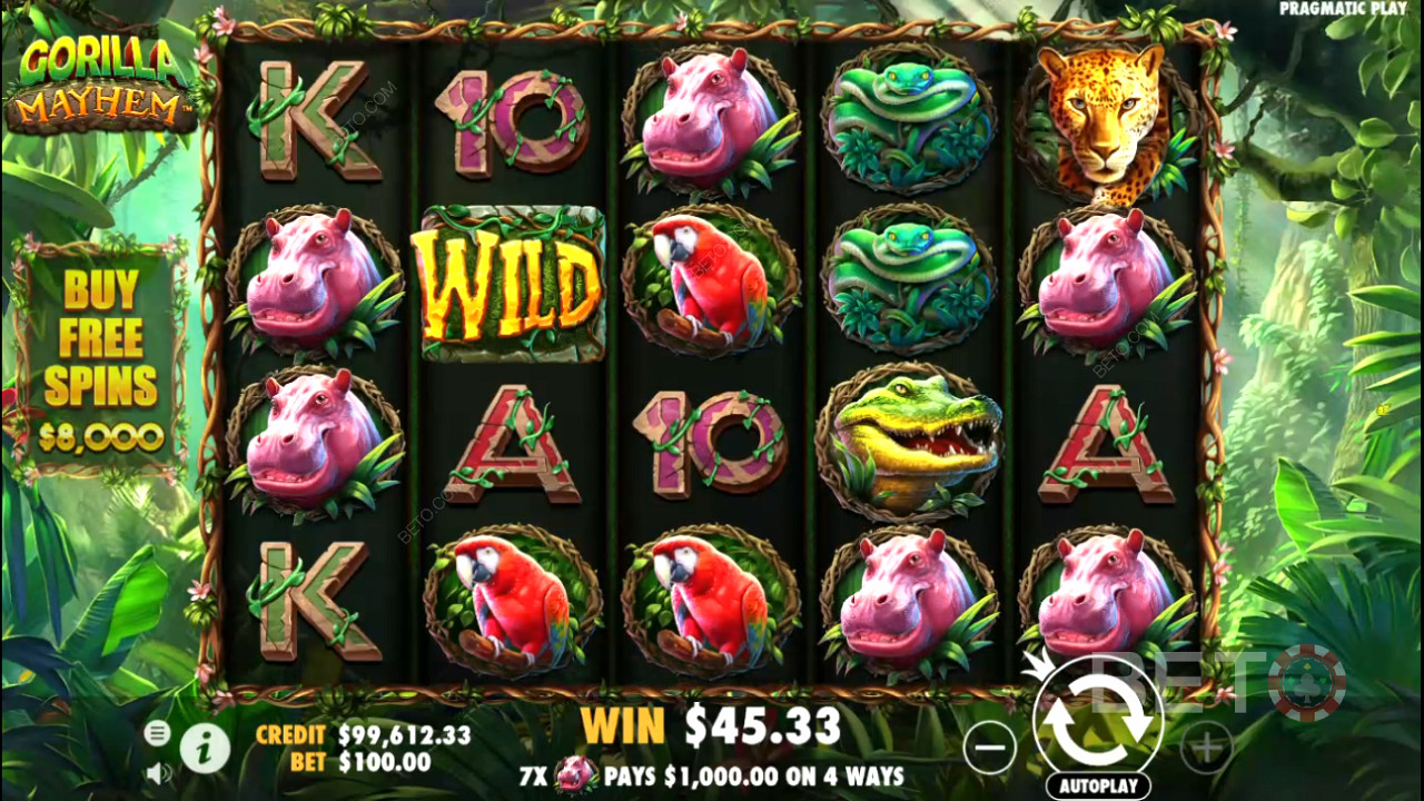 Rack up wins 1,024 ways in the Gorilla Mayhem pokie
