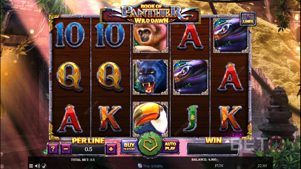 Book of Panther Wild Dawn pokie features fierce Aussie fauna symbols