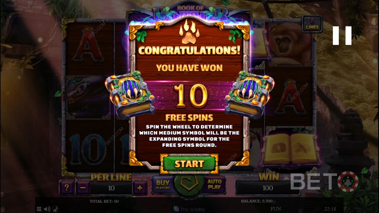 Snag 3 or more Scatters to kick off Free Spins