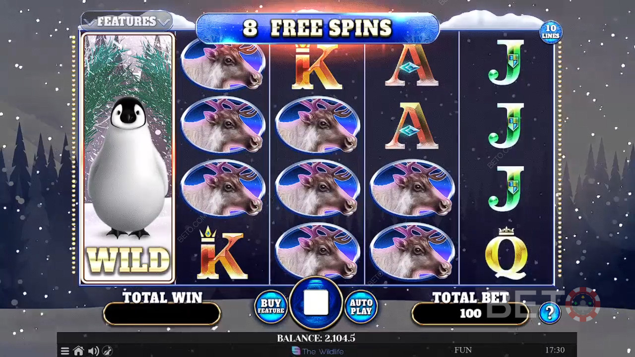 Wild Penguin Review by BETO Pokies